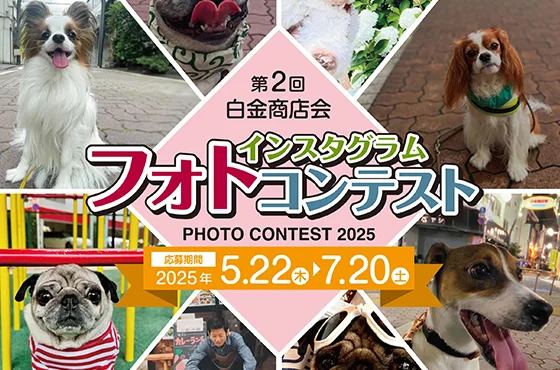 「ワンちゃんフォトコンテスト」に応募しよう！